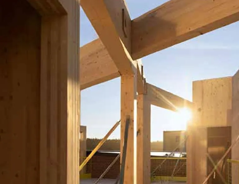 Timber building under construction in sunlight