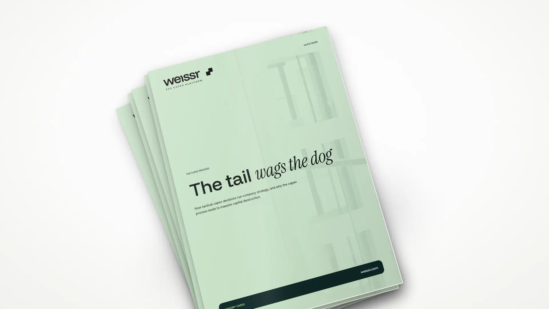 The Tail Wags the Dog report cover